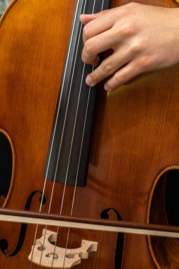 Bir prova ya da ders sırasında çello çalan genç bir adamın ayrıntıları, notaları sol elle yerleştirmek ve tellere seçici bir odaklanma ile yay takmak.