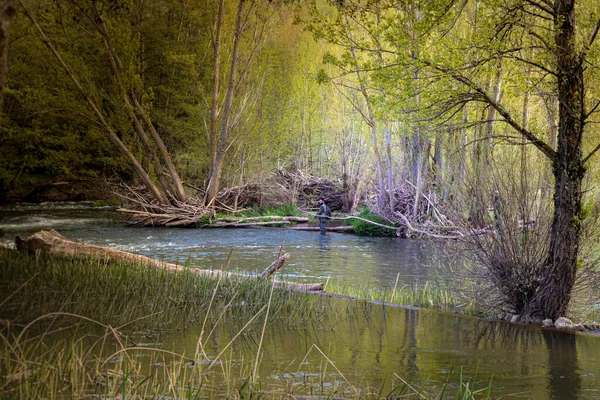 Краєвид Струмка Водою Два Рибалки Рибалять Форелі Покриває Річку Вибірковим — стокове фото