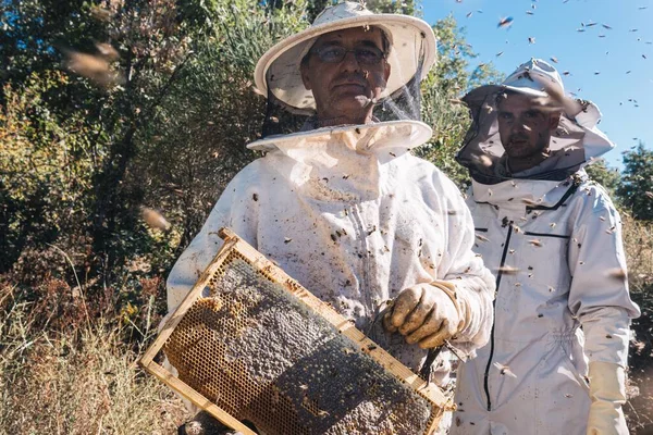 Two Male Beekeepers Wearing Overalls Gloves Bee Sting Mask Protection — ストック写真
