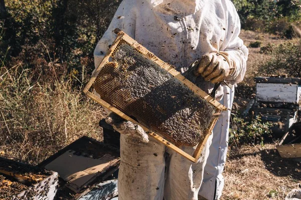 Beehive Natural Honey Produced Heather Wild Flowers Held Beekeeper Wearing — Zdjęcie stockowe