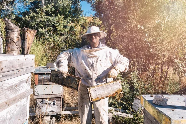 Middle Aged Beekeeper Full Sting Protection Smiling Holding Two Honeycombs — ストック写真