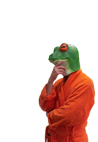 概念的な若いです男の子で緑カエル動物のマスクでオレンジバスローブとともに手で頭の襟の上に白い背景に集中コピースペース — ストック写真
