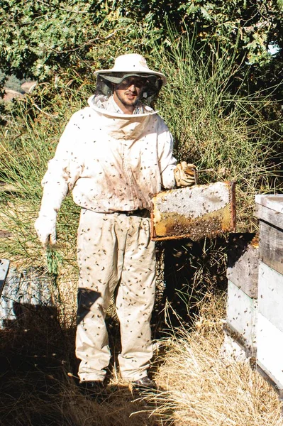 蜂の巣を身に着けている若い養蜂家蜂蜜とワックスでハニカムを保持し 一方で蜂を怖がらせるために選択的な焦点を離れて — ストック写真