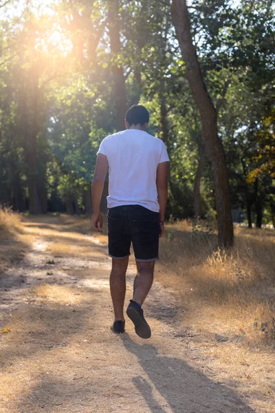 young boy with his back turned in shorts walking along a forest trail surrounded by trees on a sunny day hiking concept
