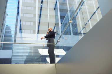 Male financier talking on mobile phone 