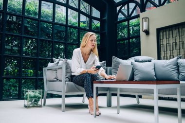 Konsantre iş kadını klas kıyafet içinde dizüstü bilgisayarda mesajlaşıyor ve rahat bir kafede koltukta oturup uzaktan çalışırken akıllı telefonuna bakıyor.