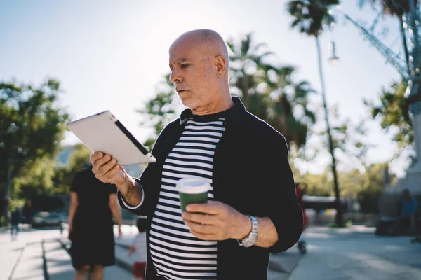 严肃的老人 带着外卖咖啡站在绿地里 一边在社交媒体上冲浪 一边喝咖啡 一边专注于平板电脑 — 图库照片
