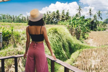 Yaz tatilinin tadını çıkarırken, tropikal ormanın yanında dikilen ve bakışlarını kaçıran isimsiz kadın turistin arkası.