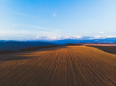 Fransa 'nın coğrafi bölgesinde çarpıcı bir güneş doğumu sırasında Provence' deki parlak mavi gökyüzü ile görkemli lavanta tarlalarının insansız hava aracı görüntüsü