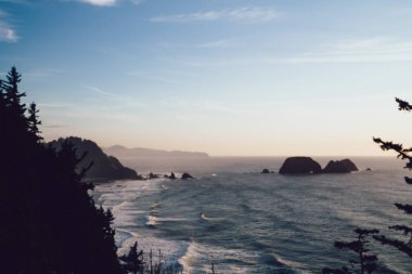 ABD 'de güneş batarken yeşil bitkilerle birlikte taşlı kıyılara vuran köpüklü dalgalarla sakin deniz manzarası.