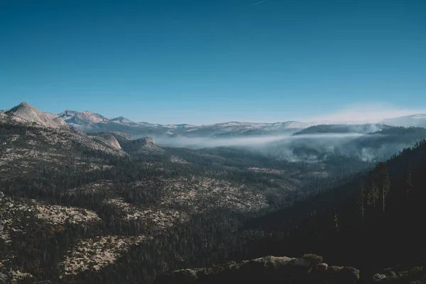 Баронні Краєвиди Скелястих Гір Зелених Дерев Національного Парку Йосеміті Америці — стокове фото
