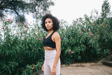 Yazın yoga yaparken yeşil parkta dinlenen koyu kıvırcık saçlı, odaklanmış genç bir kadın.