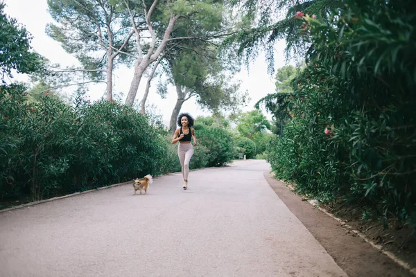 From below of smiling ethnic female in sportive wear jogging with dog on city street in park in summer day