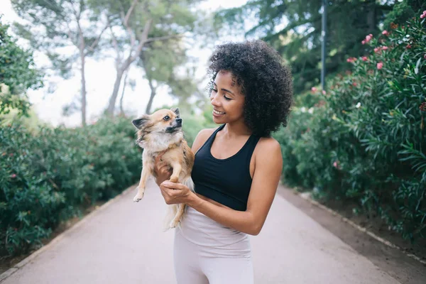 Fröhliche Junge Afroamerikanerin Lässiger Kleidung Mit Afro Frisur Umarmt Niedlichen — Stockfoto