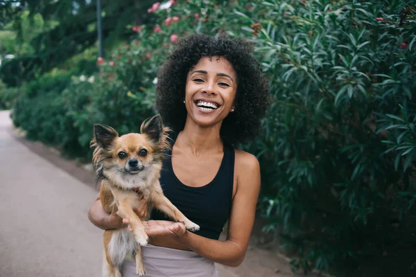 Feliz Joven Mujer Afroamericana Ropa Casual Caminando Por Calle Ciudad — Foto de Stock