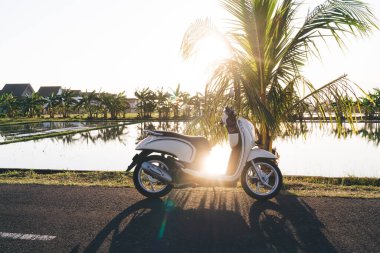 Parlak yaz akşamında sıcak tropikal bir ülkede yeşil bitkilerle çevrili yol ve gölet arasına park edilmiş beyaz motosiklet.