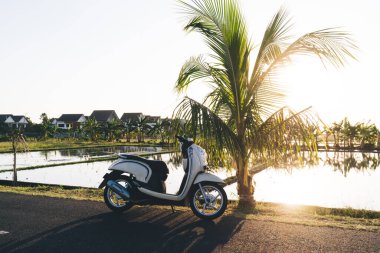 Akşamüstü tatil köyünde yeşil tropikal ağaçlar ve kır villalarıyla banliyöde sakin göl kenarına park edilmiş modern scooter.