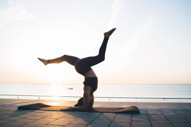 Aktif haldeki sakin bir kadın yoga yaparken eğleniyor. Atletik vücudu olan güçlü bir kadın Asya 'da elleri ve başı üzerinde duruyor ve kaslarını esneterek sağlığa ve dengeye ulaşıyor.