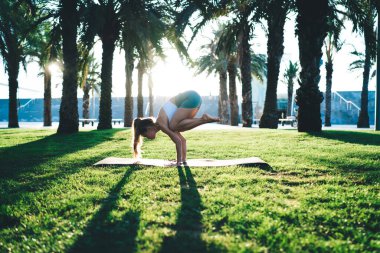 Yeşil Park 'ta gündüz vakti yoga yaparken Crow pozu veren genç atletik kadının yan görüntüsü.
