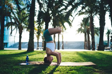İnce, güçlü bir kadının yoga yapması ve şehir parkında avuçlarında güneş ışığıyla amuda kalkması.