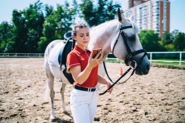 Beyaz atlı kadın 4G kablosuz internet kullanıyor. Kulüp otlağında yürürken. Aktif kadın kontrolü, beyaz atla antrenman yaparken akıllı telefon uyarısı almış.