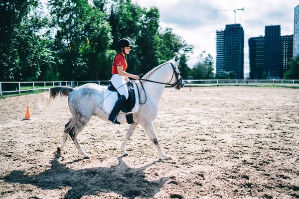 Seitenansicht Einer Jungen Frau Reiterkostüm Die Mit Einem Weißen Pferd — Stockfoto
