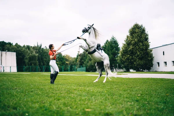 Caucasian Female Tamer Training Favourite Stallion Horse Weekend Country Club — Stock Photo, Image