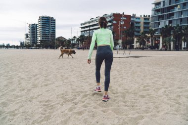 İnce tefek bir kız, deniz kıyısında gezinirken güzel bir köpeği gezdirmek için sabah vaktini harcıyor. Azimli bir koşucu, kırma köpekle koşuyor. Kıyı şeridindeki çoklu görev ve kardiyo eğitiminin keyfini çıkarıyor.