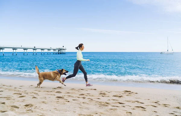 Side View Satisfied Female Athlete Running Seashore Mongrel Dog Feeling — Stockfoto