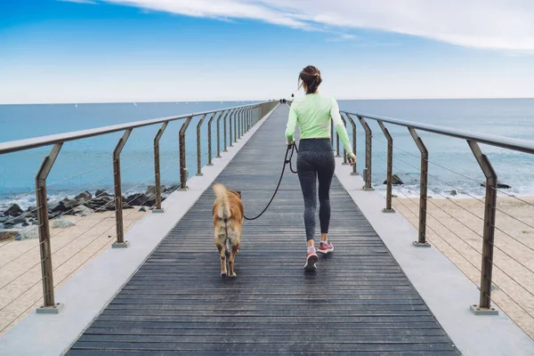 Nce Tefek Bir Kız Deniz Kıyısında Gezinirken Güzel Bir Köpeği — Stok fotoğraf