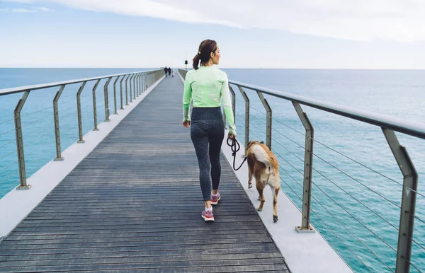 Achteraanzicht Van Onherkenbare Atletische Vrouw Sportkleding Wandelend Langs Houten Promenade — Stockfoto