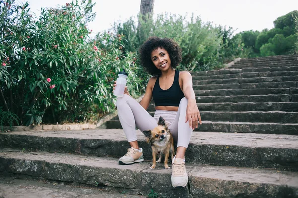 Cheerful young ethnic woman in active wear looking at camera and smiling while spending time with Chihuahua in green park