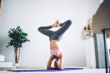 Yoga seansı yapan ve beyaz duvara karşı desteklenen kelebek başlığı üzerinde duran genç, profesyonel, zayıf bayan atletin tüm vücudu.