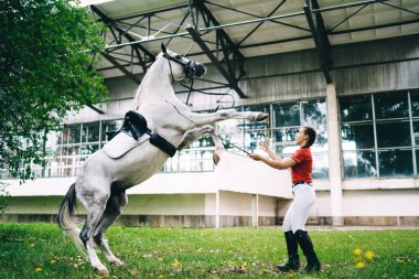 Beyaz kadın profesyonel at kırbacıyla at kırbaçlama itaat eden at yarışı şampiyonu, genç jokey binicisi yirmili yaşlarda safkan kısrak hayvanlarla binicilik eğitimi alan