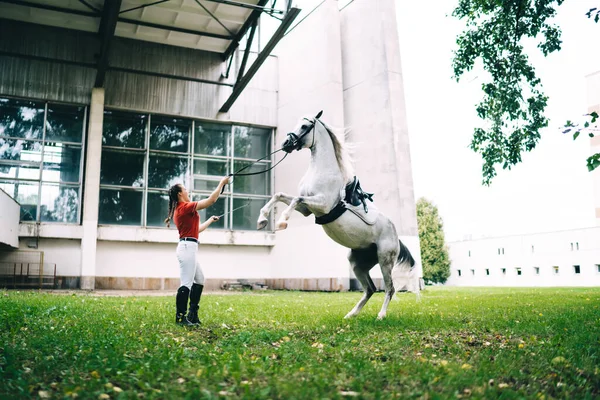 年轻女骑师身穿红衫和黑色靴子 站在空旷草地上饲养的骏马旁边的侧影 — 图库照片