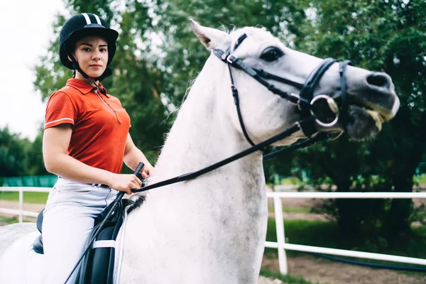 Jovem Fêmea Equestre Capacete Preto Camisa Vermelha Sentada Sela Cavalo — Fotografia de Stock