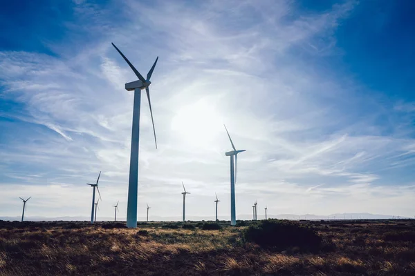 Pittoresk Uitzicht Lege Windturbines Gelegen Grasveld Tegen Bewolkte Blauwe Lucht — Stockfoto