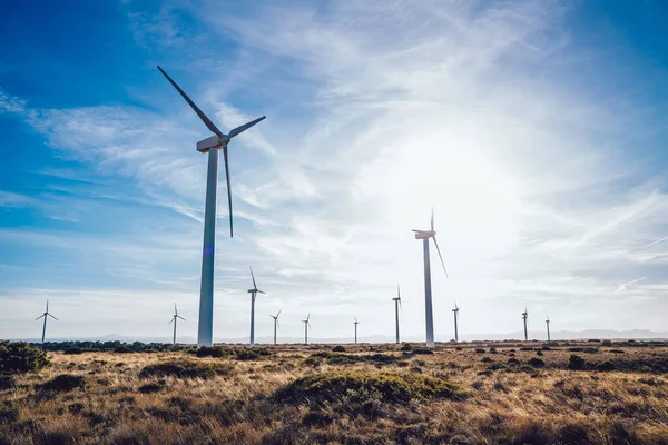 空の地形に位置し 日当たりの良い空に対して緑のエネルギーを生成するために使用される風車タービン発電所の低角度 — ストック写真