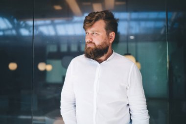 Beyaz tişörtlü yakışıklı beyaz iş adamı fikirlere kafa yormaktan kaçınıyor, ciddi sakallı, başarılı, modern ofis içinde başarılı bir girişimci.