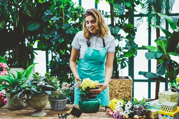 Confiante Jovem Florista Sexo Feminino Avental Sorrindo Plantar Flores Vaso — Fotografia de Stock