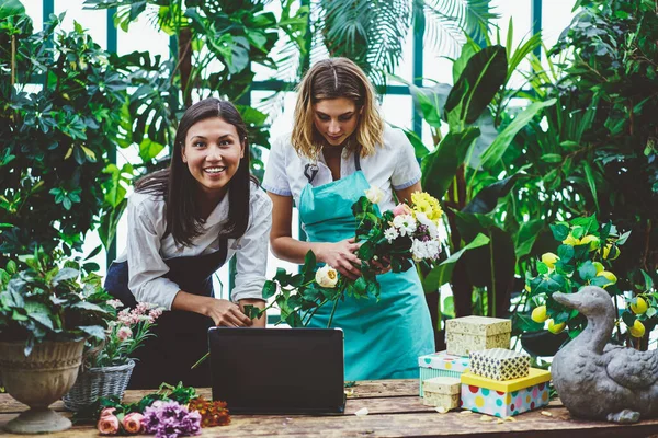 Önlüklü neşeli genç bayanlar rahat bir mağazada çalışırken karışık çiçek kompozisyonu hazırlarken dizüstü bilgisayar kullanıyorlar.