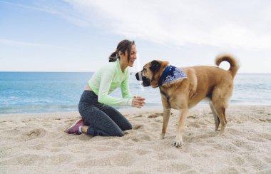 Neşeli Kafkasyalı koşucu hafta sonu yürüyüşünden memnun. Saf, şirin bir köpek yavrusu, eşofmanlı mutlu bir kadın. Deniz kıyısında güzel bir köpekle oynuyor.