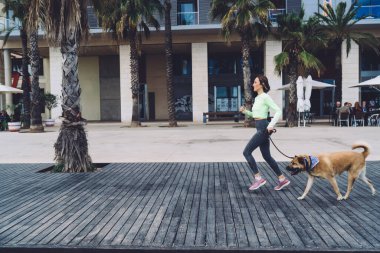 Güzel Kafkas koşucusu, sabah vakti safkan köpeği gezdirirken ve kardiyo koşusu yaparken zayıf ve kaslı kadın eşofmanlı, Mongler 'in köpeği ile sağlıklı yaşam tarzını korumak için antrenman yapıyor.