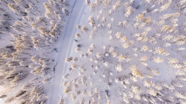 Karla kaplı ve kozalaklı ormanlarla çevrili doğa insansız hava aracı kışın kuzey Laponya 'nın ulusal parkındaki karlı ağaçlara kuş bakışı bakıyor.