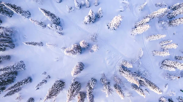 Vista Aérea Drone Paisagem Natureza Tampada Com Neve Cercada Pela — Fotografia de Stock