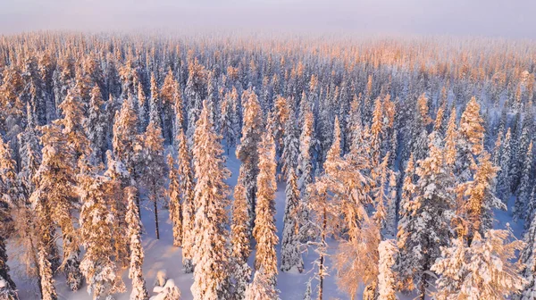 Lucht Uitzicht Vanaf Drone Van Natuur Landschap Bedekt Met Sneeuw — Stockfoto