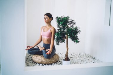 Kafkasyalı genç bir kadın Asya 'da meditasyon yapmak için sabah antrenmanından zevk alıyor ve günlük rutininden dinleniyor. İnce kadın yogi eşofmanlarıyla modern ev dairesinde Lotus pozunda oturuyor.