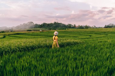 Sarı tişörtlü yüzsüz kadın tarımsal arazide tek başına dolaşırken hasat mevsiminde küçük bir köyde çiftlikte çalışıyor.