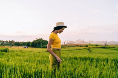 Yüzü olmayan, siyah saçlı ve sarı tişörtlü bir kadının Filipinler 'de seyahat ederken yeşil çayırda kırsal alanda gezinişi.