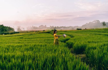 Uzun saçlı ve şapkalı isimsiz bir çiftlik sahibinin iş sırasında çiçek açan çiftçi sıralarında ayakta duruşu.